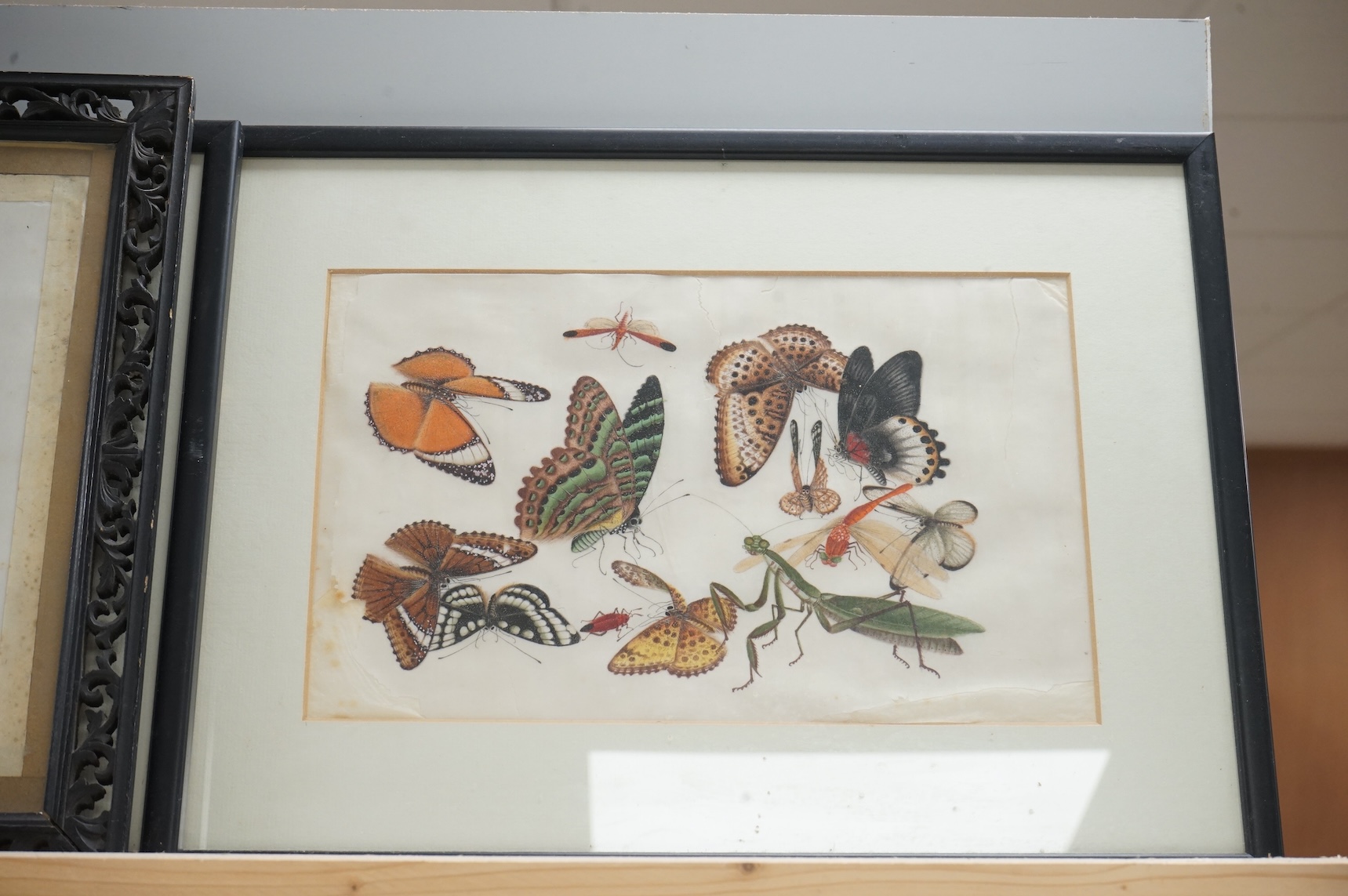19th century, Chinese School, four pith paper paintings, Butterflies and insects, 20 x 32cm, one housed in a carved wood frame